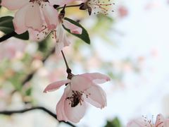 -荆川公园