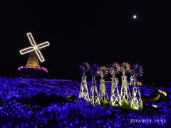 -大塘金香草谷