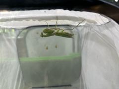 -上海昆虫博物馆