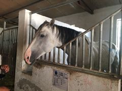 -月河湾马术俱乐部(朝阳店)