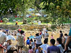 -广州白江湖森林公园