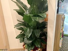 -七田真体验中心(徐东群星城中心)