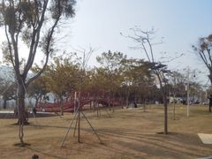 -白石龙音乐公园