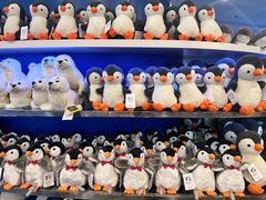 -上海海洋水族馆