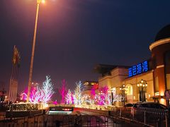 -So Lounge索兰至餐厅(蓝色港湾店)