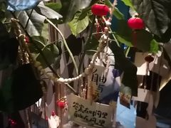 -涟LIAN·泰式按摩·MASSAGE·SPA(华强北店)