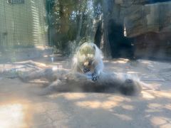 -泉州海丝野生动物世界