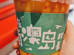 -南澳岛打卡果汁冰公司
