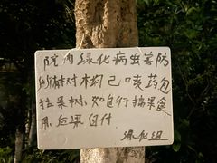 -叶家花园