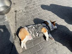 -老四川平头酸菜鱼(衙前店)