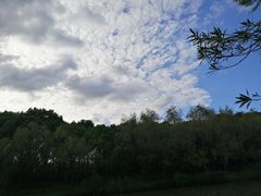 -新江湾城公园