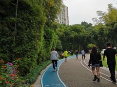 -苏州河梦清园环保主题公园