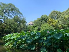 -成都杜甫草堂博物馆