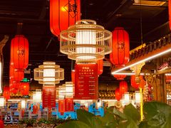 -谭鸭血老火锅(龙湖宝山天街店)