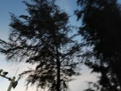 -玫瑰海岸文化旅游度假区