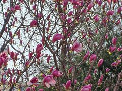 -永定河休闲森林公园