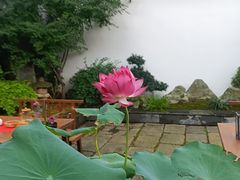 -鲤院·新中式美学·庭院餐厅(夫子庙店)