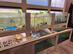 -质烤烤物·活烤海鲜(质烤总店)