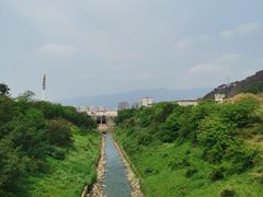 -羚羊峡古栈道森林公园