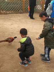 -萌宠亲子动物乐园(槐房万达店)