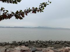 -深圳湾公园(南山区)