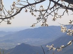 -北京鹫峰国家森林公园