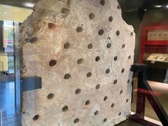 -南越王博物院(王宫展区)