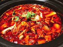 -九锅一堂酸菜鱼(新南凯德直营店)