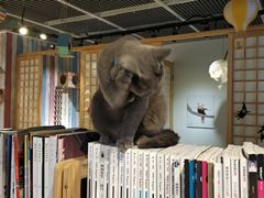 -小时光咖啡馆(开森度假森林店)