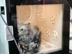 -宠物家(大兴旧宫店)