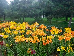 -长春公园(普阳街道)