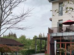 -梅林春晓花园餐厅