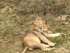 -泉州海丝野生动物世界