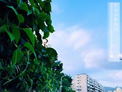-金鸡山公园