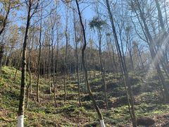-广州市石门国家森林公园