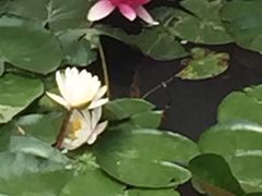 世博园-西安世博园