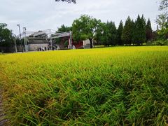 -北坞公园