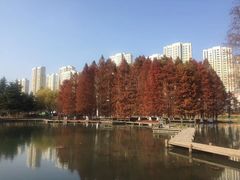 -白塘生态植物园