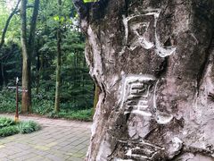 -峨眉山报国寺