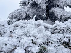 -永州阳明山国家森林公园