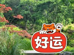 -上海滨江森林公园