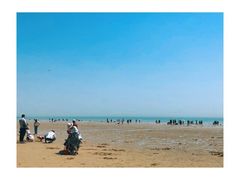 -日照海滨国家森林公园
