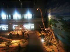 -自贡恐龙博物馆