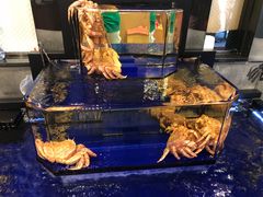 -蟹道乐(道顿堀本店)