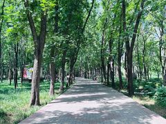 -洛阳市隋唐城遗址植物园