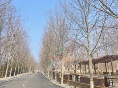 -静之湖度假区