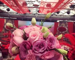 -保定金沙芝柏婚礼策划
