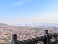-灵谷景区