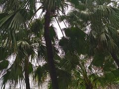 -荔湾湖公园