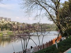 -重庆彩云湖湿地公园